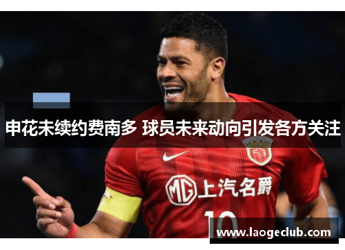 申花未续约费南多 球员未来动向引发各方关注